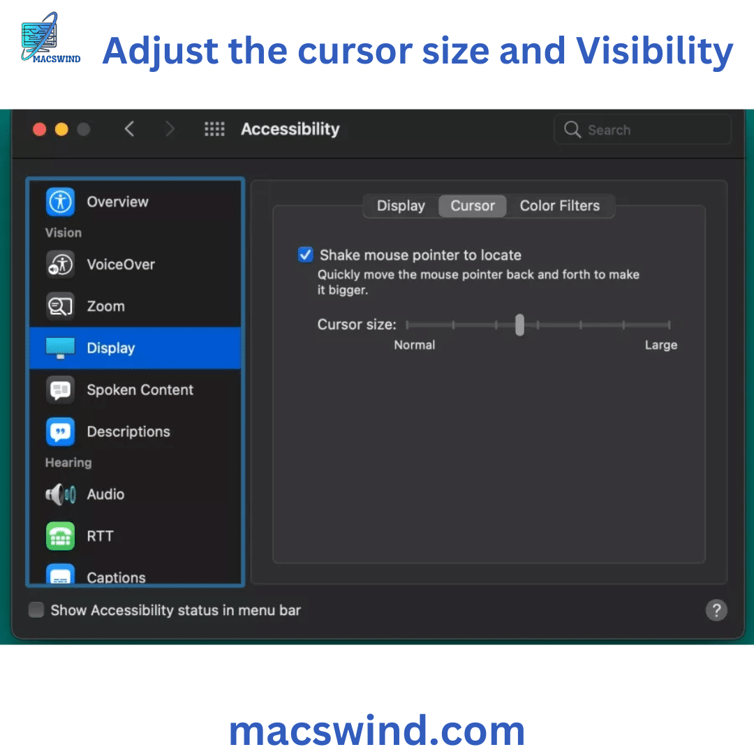 Adjust the cursor size and Visibility